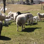 Dammerer Hof Inkl. Chiemgaukarte Ruhpolding