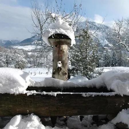 Apartmán Dammerer Hof Inkl. Chiemgaukarte Ruhpolding