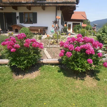 Dammerer Hof Inkl. Chiemgaukarte Ruhpolding